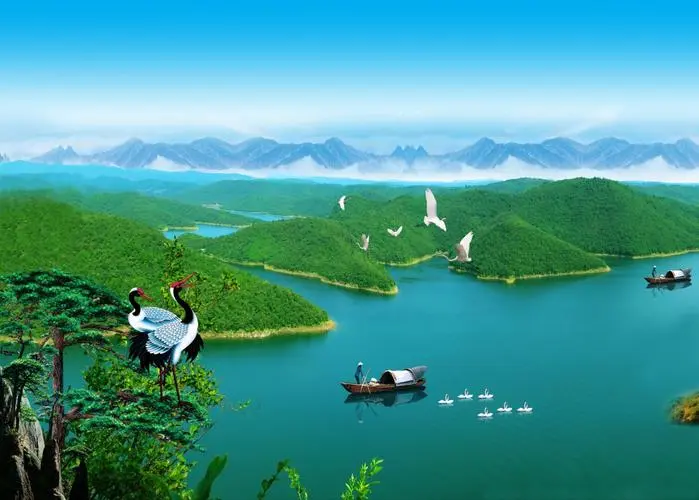 高精度全自动